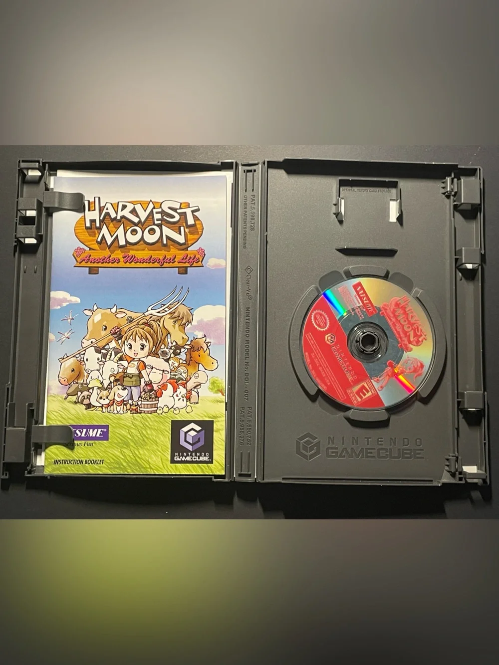 Harvest Moon: Another Wonderful Life – Nintendo GameCube